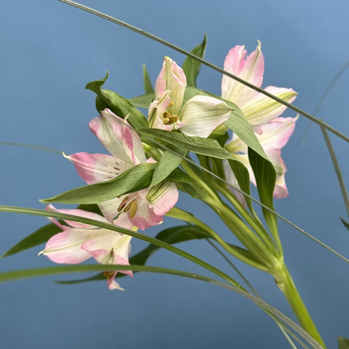 Настольная композиция из семи ваз Розовая свадьба